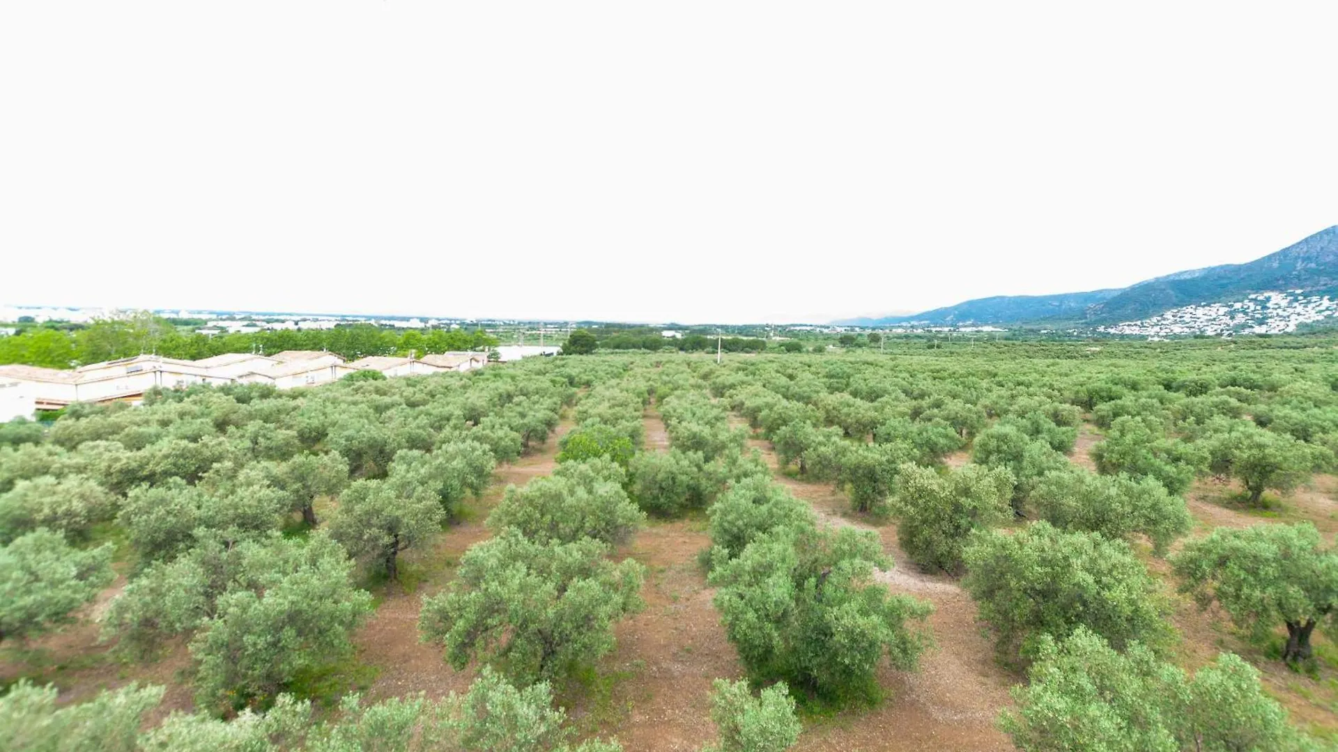 Appartamento 1141 Mas Oliva - Apivend Immo Roses